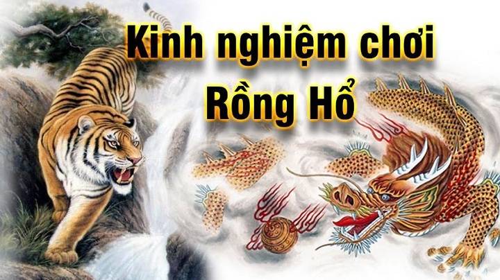 Kinh nghiệm chơi rồng hổ với tỷ lệ chiến thắng lên tới 90% 1 Áp dụng ngay những kinh nghiệm chơi rồng hổ